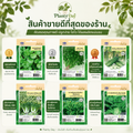 เมล็ดพันธุ์เจียไต๋