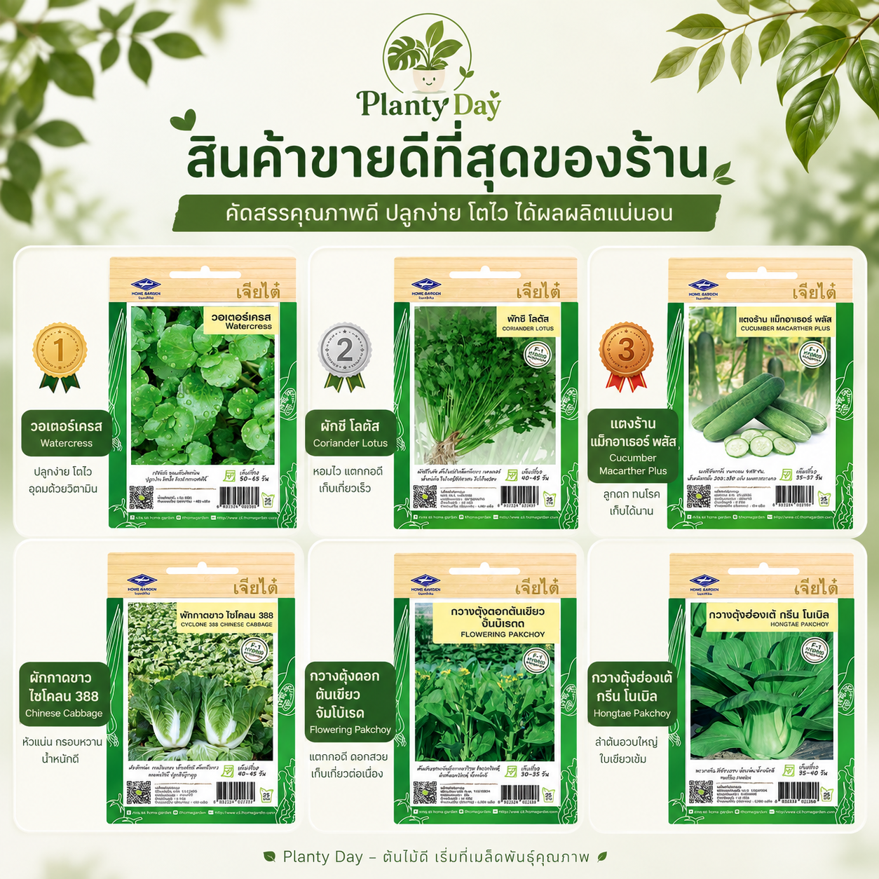 เมล็ดพันธุ์เจียไต๋